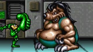 Battletoads & Double Dragon (SNES) All Bosses (No Damage)