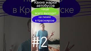 Какие марки автобусов чаще всего выходят на линию в Красноярске || #2