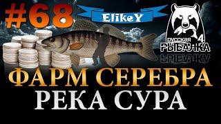 Берш - Деньги! • Фарм Серебра и Опыта  • Налим, Судак и Сом! • Река Сура • Русская Рыбалка 4 #68