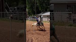 #nsca #omoksee #horse #rodeo #horseshow #western #westernriding #youtubeshorts #subscribe