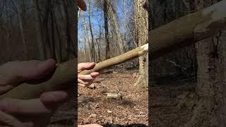 Making a Survival Spear with a Machete!