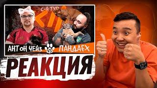 РЕАКЦИЯ АКУЛА на PANDA FX VS ЧЕЙЗ КУБОК ФИФЕРОВ 2024