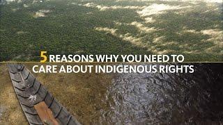 If you care about climate change, you should care about indigenous rights