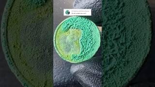 Clean an American Coin? Ok let's Go!   #satisfying #asmr