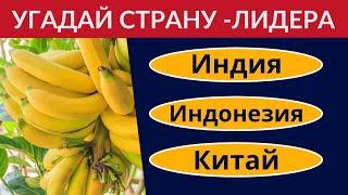 Крупнейшие производители в мире  Тест по географии и экономике  Угадай страну по продукту