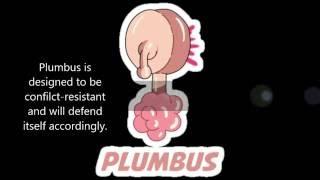 Introduction to Plumbus