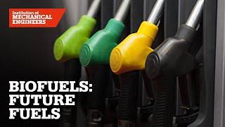 Future Fuels for Road Transport: Biofuels