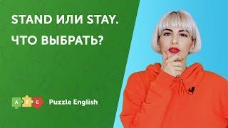 Что выбрать? Stand или Stay