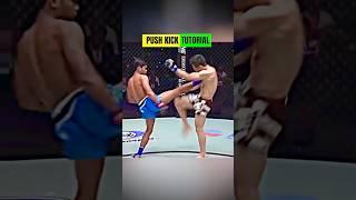 Push Kick #tutorial #training #shortsvideo #usa #india #shortvideo #yt #ytshort #ytshorts #mma
