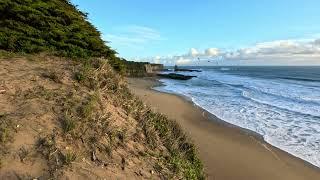 30 Minutes of Strong Wind & Sea Shore Sounds White Noise | Sandy California Coast