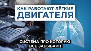 Картерные газы и система вентиляции картерных газов. Не дай двс авто задохнуться!