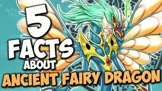 5 Facts About Ancient Fairy Dragon - YU-GI-OH! Facts & Trivia