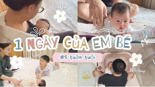 Một Ngày Chăm Một Em Bé 5 Tuần Tuổi  Realistic Day With A 5-Week-Old Baby ️ TrinhPhamFamily