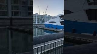 Mga yacht sa Auckland Viaduct #walkingtour #auckland #pinoysanewzealand #pinoy #travel #pinoynz