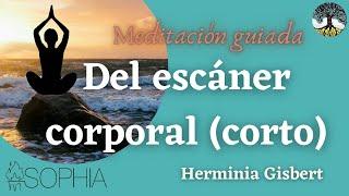 Meditación Guiada del escáner corporal o Body scan (corto)