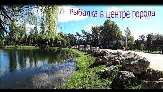 Рыбалка,Крым,Гагаринский Парк.РЫБАЧУ В ЦЕНТРЕ ГОРОДА.