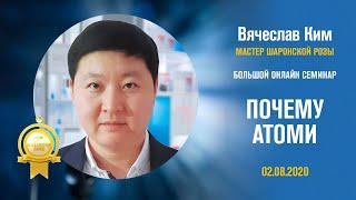 Вячеслав Ким - Почему Атоми!