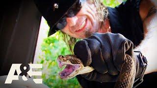 Top 3 DEADLY Rattlesnakes | Billy the Exterminator | A&E