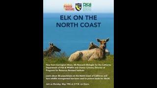 Elk on the North Coast (Far North Webinar)