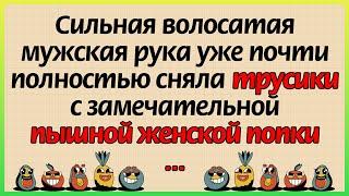  Волосатая мужская рука уже почти полностью сняла трусики  Анекдоты онлайн ▶ Смех юмор и позитив