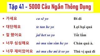 [TẬP 41] 5000 CÂU TIẾNG HÀN NGẮN THÔNG DỤNG | 실제로 자주 쓰는 한국어 문장들