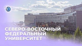 Северо-Восточный федеральный университет имени М.К. Аммосова