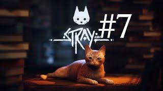 ЛЮБОВЬ К ДЕНЬГАМ ► Stray #7