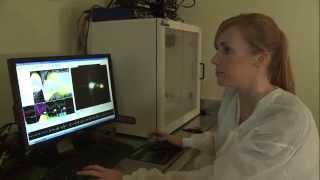 #NIAAA: Alcohol Research in the Laboratory of Behavioral & Genomic Neuroscience