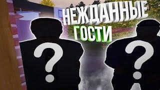 ОНИ ВСЕ-ТАКИ ПРИШЛИ... (My summer car | май саммер кар)