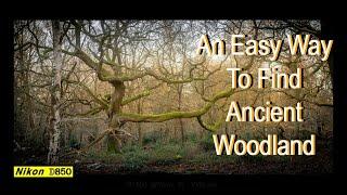 IF YOU LIKE WOODLAND PHOTOGRAPHY YOU MIGHT FIND THIS USEFUL. #woodlandphotography #nikond850