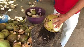 Street food: Coconut water / agua de coco (San Salvador, El Salvador)