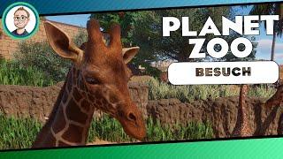 Zoologisk Valg von Iaborog «» Planet Zoo Community Besuch  | Deutsch | German