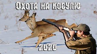 Загонная охота на косулю 2020. Закрытие сезона.