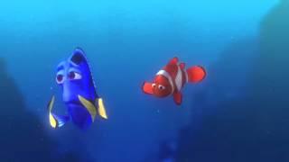 Finding Nemo- Dory's Best Moments