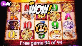 OMG! 94 FREE SPINS on Buffalo Gold