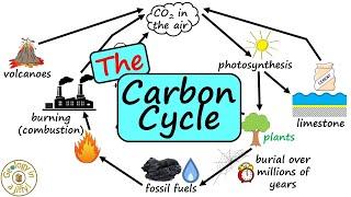 The Carbon Cycle - Geology in a Jiffy!