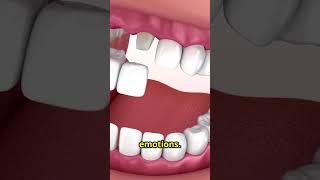 Your Teeth Are Telling a Story - Are You Listening?