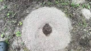 #6. СТАРИННАЯ МЕЛЬНИЦА В ДОРОЖКАХ ПОД НОГАМИ НАЙДЕНА НА ГЛУХОМ ХУТОРКЕ.