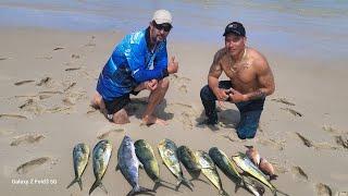 Stradbroke Island FAD Mahi Mahi everywhere