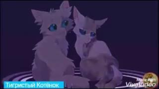 Коты-Воители Искра и Голубка