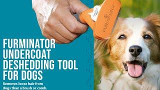 FURminator Undercoat Deshedding Tool For Dogs