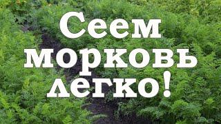 Сеем морковь легко. Сад. Огород. Садовод и огородник.