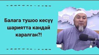 Балага тушоо кесүү шариятта кандай каралган?! | Чубак ажы Жалилов