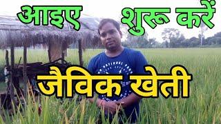 बिना उपज को घटाएं इस तरह शुरू करें जैविक खेती होगा लाभ ही लाभ