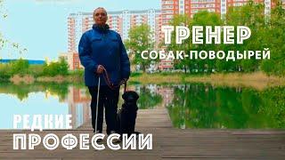 Кто тренирует собак для слабовидящих? Редкие профессии