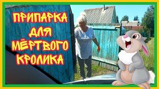 10/7 24  ВЫЗВАЛА ВРАЧА.  ПОПРОЩАЛАСЬ С  ЖИЗНЬЮ. СДЕЛАЛ МОТОПЁРД. ОТВЕЗИ В ЛЕСОК ПОД КУСТОК.