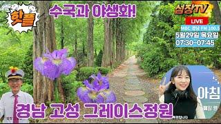 2025여름철 가볼만한 경남 명소 고성 그레이스정원 수국과 야생화 천국