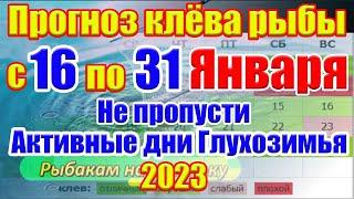 Прогноз клева рыбы на эту неделю с 16 по 31 Января Календарь рыбака на Январь Прогноз клева рыбы