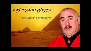 prikolebi / qartuli sasacilo / suratebi / gadaoba