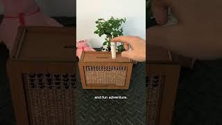 Story of Alex #money #savings #savingmoney #financialeducation